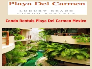 Condo Rentals Playa Del Carmen Mexico