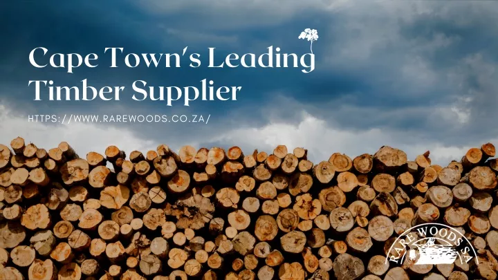 cape town s leading timber supplier