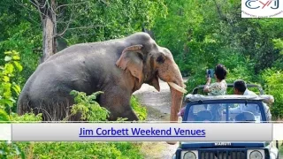 corporate offsite in jim corbett | weekend getaways in jim corbett