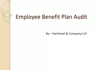employee benefit plan audit