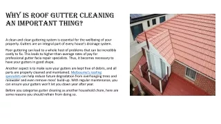 why is roof gutter cleaning an important thing