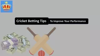 Cricket Betting Tips To Improve Your Performance