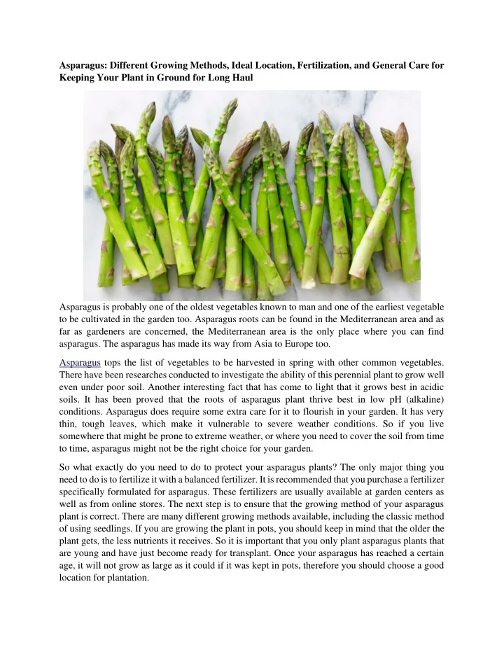 PPT Asparagus Different Growing Methods, Ideal Location, Fertilization, and General Care for