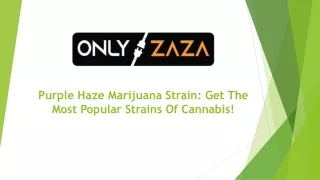 Get Purple Haze Strain Online | Only Zaza