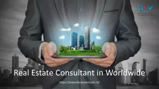 Real Estate Consultant in Worldwide