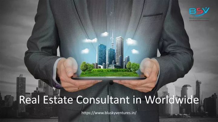 real estate consultant in worldwide