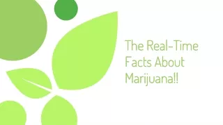Top 5 Facts about Marijuana | Liquid Gold Extracts