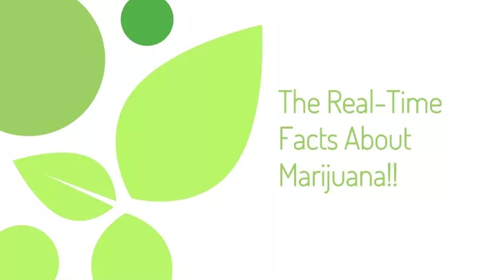 the real time facts about marijuana