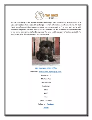 Sale my puppy online in USA | My Next Pup