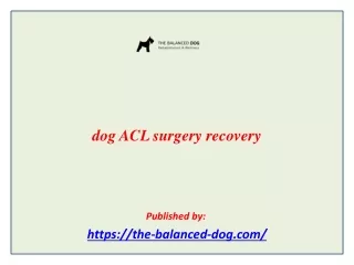 dog ACL surgery recovery