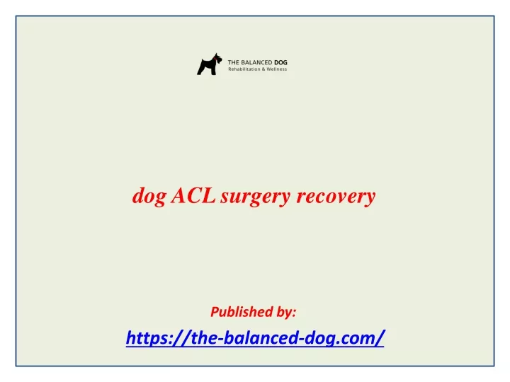 dog acl surgery recovery published by https the balanced dog com