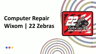 Computer Repair Wixom | 22 Zebras