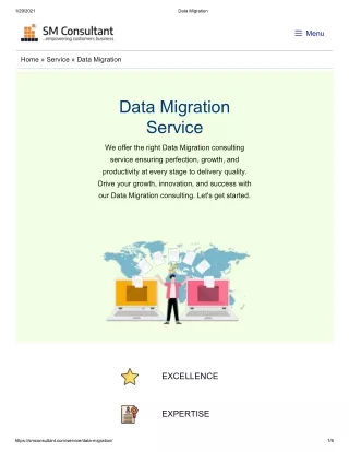 Data Migration Service