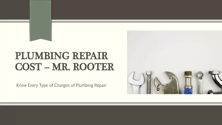 plumbing repair cost mr rooter