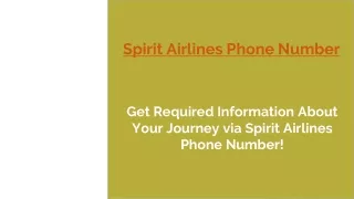 spirit airlines phone number