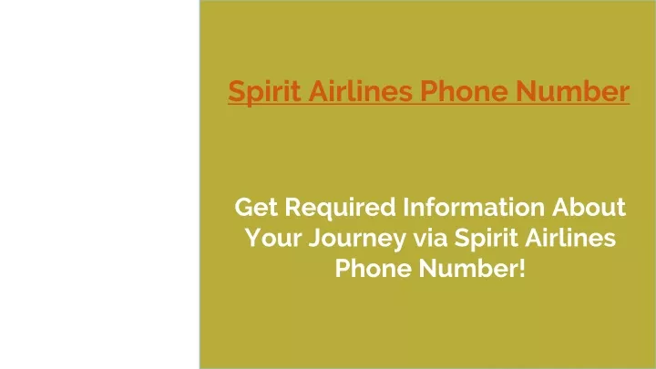 spirit airlines phone number