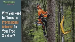 Why You Need to Choose a Professional Arborist for Your Tree Services?