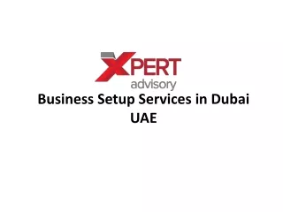 Business Setup Services in Dubai UAE