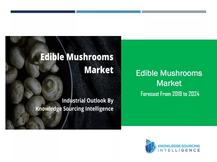 edible mushrooms market forecast from 2019 to 2024
