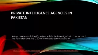 In 2021, Top Private Intelligence Agencies in Pakistan