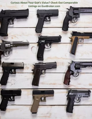 curious about your gun s value check