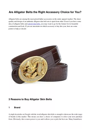 are alligator belts the right accessory choice