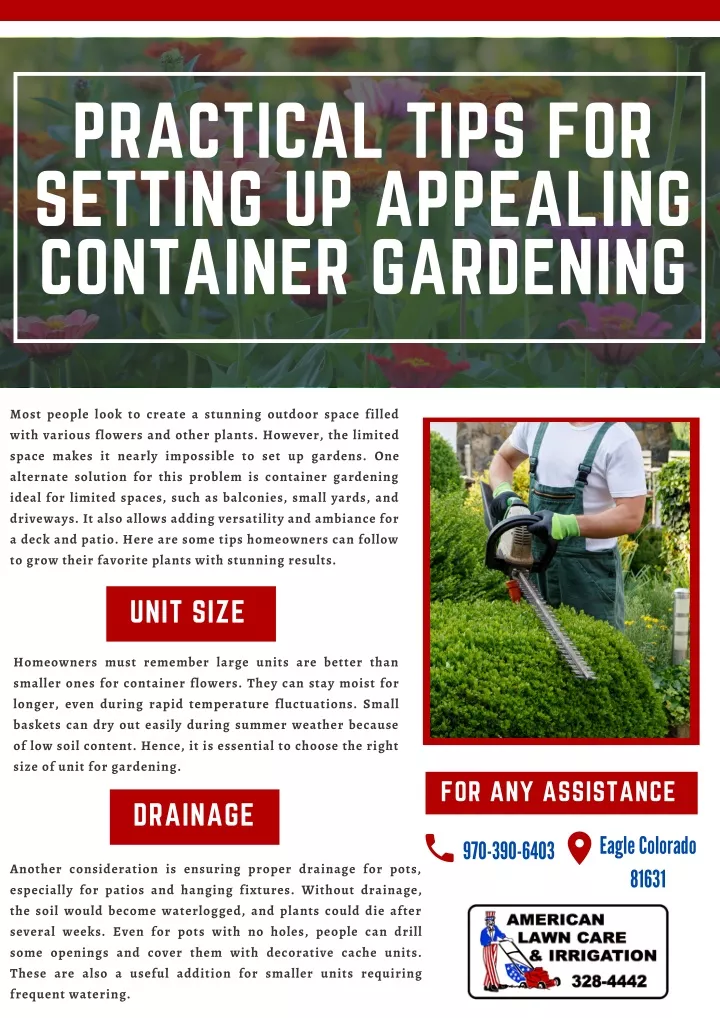 practical tips for setting up appealing container