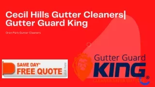 Cecil Hills Gutter Cleaners