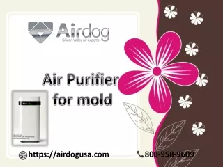 Air Purifier for Mold eliminate mold spores from your room | Airdog USA