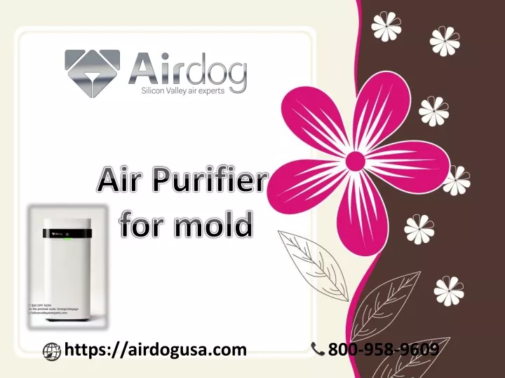 air purifier for mold