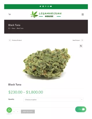 Buy Black Tuna Marijuana Strain Online – Buy Black Tuna Online