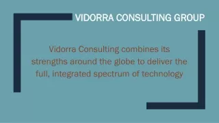 vidorra consulting group