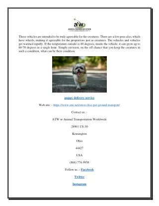 Puppy delivery service  | Atw.net