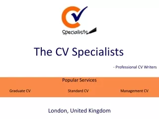 the cv specialists
