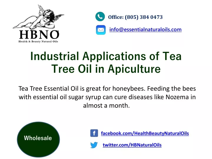 industrial applications of tea tree oil in apiculture