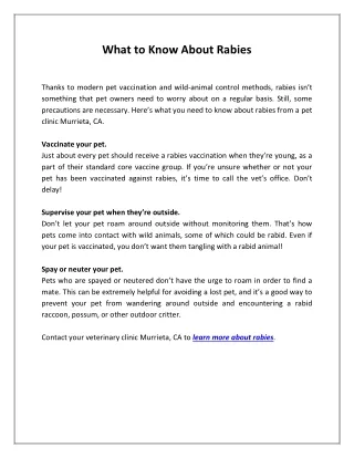 what to know about rabies
