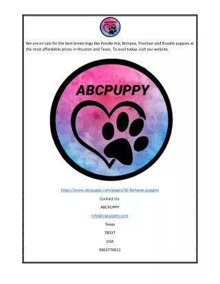 we are on sale for the best breed dogs like