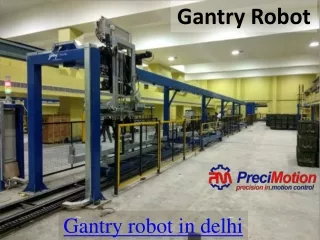 Gantry robot in delhi