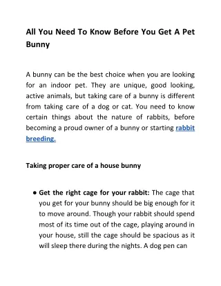 all you need to know before you get a pet bunny