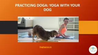 practicing doga yoga with your dog