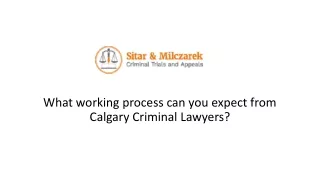 what working process can you expect from calgary criminal lawyers