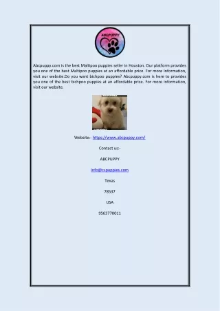 abcpuppy com is the best maltipoo puppies seller