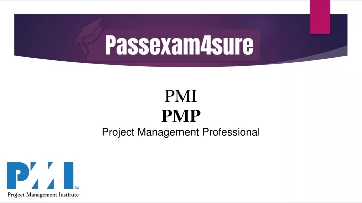 pmi pmp project management professional