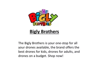 Best Drones For Kids - Biglybrothers.com