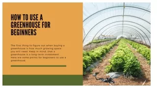 How To Use A Greenhouse For Beginners