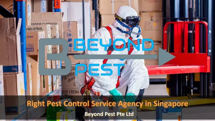 right pest control service agency in singapore