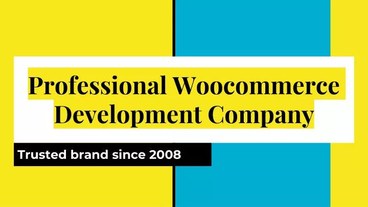 professional woocommerce development company
