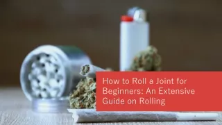 How to Roll a Joint for Beginners: An Extensive Guide on Rolling