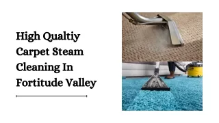 High Qualtiy Carpet Steam Cleaning In Fortitude Valley