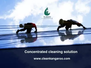 Concentrated cleaning solutions-www.cleankangaroo.com